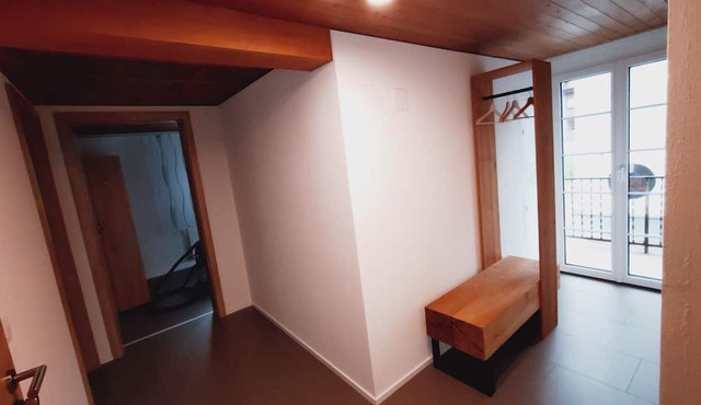 3.5 room holiday flat with balcony and roof terrace