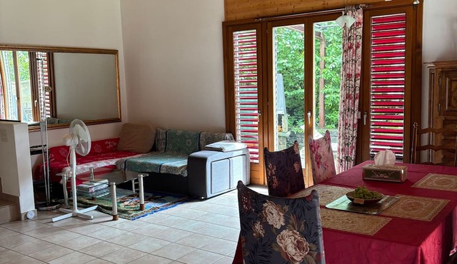 Cosy garden flat in Ticino