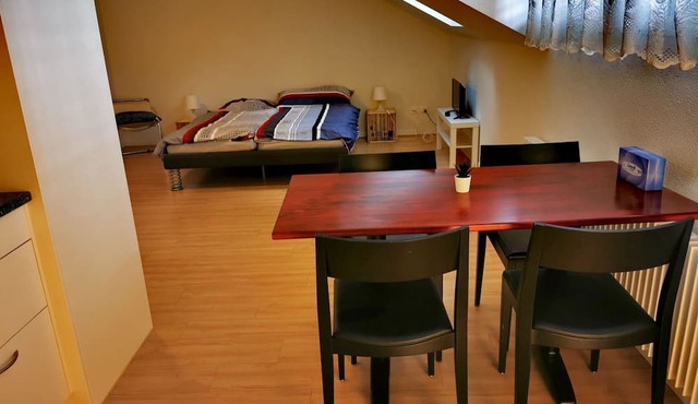 Lovely apartment for 2 people with WIFI, TV, balcony and pets allowed