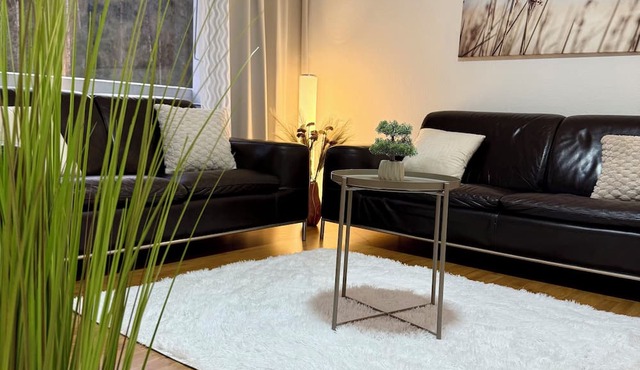 Skyline Retreat in zentrum Baden Swissholidays