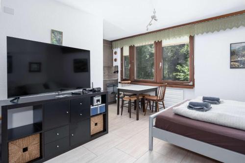 Cozy Alpine Studio in Wiriehorn with Parking