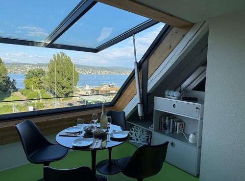 Lake Zurich Attic with Parking and View