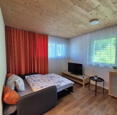 Ruhiges, schönes Studio in Zuchwil