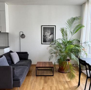 Luxury Apartment in Central Geneva