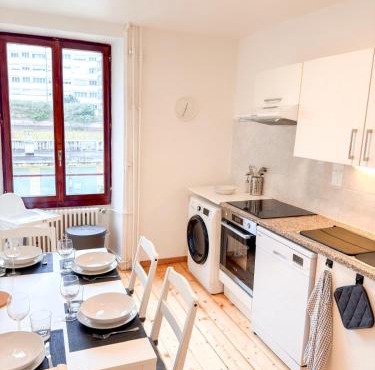 Central Geneva Cozy Apartment