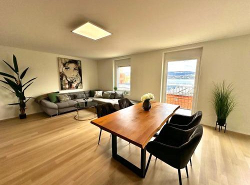 Seeblick Wohnung in Wollishofen