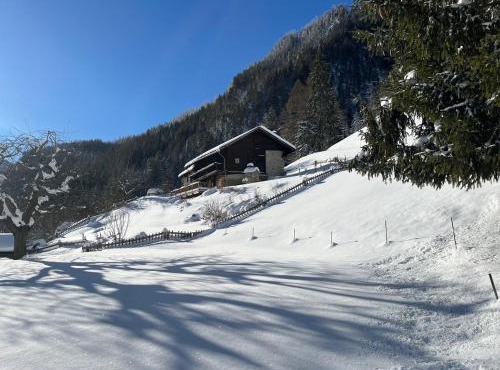 Grand Chalet du Mayen de Planraveire