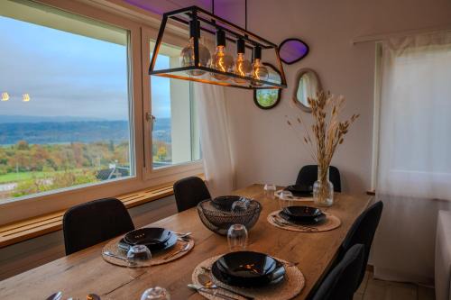 Sky Paradise 20min to zurich city centre