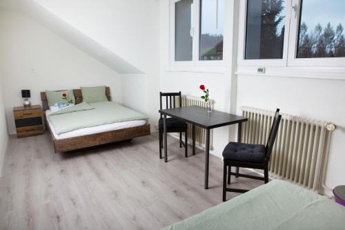 RUSTICO INN- Vintage Simple Rooms and Easy Parking direkt bei der OLMA nahe HSG und Spital