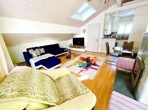 The Swiss Paradise 1 Penthouse apartment